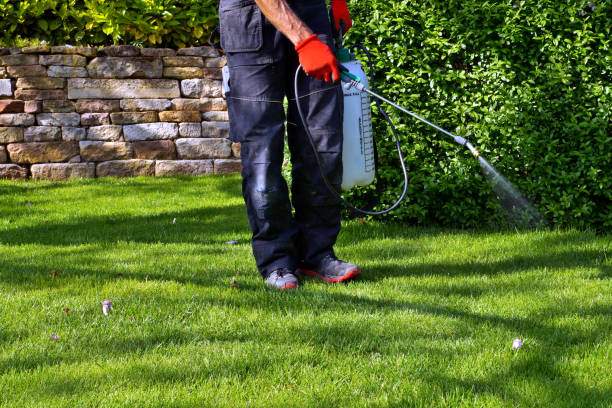 Outdoor Pest Control in Trail Creek, IN